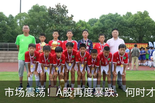 市场震荡！A股再度暴跌，何时才能企稳？